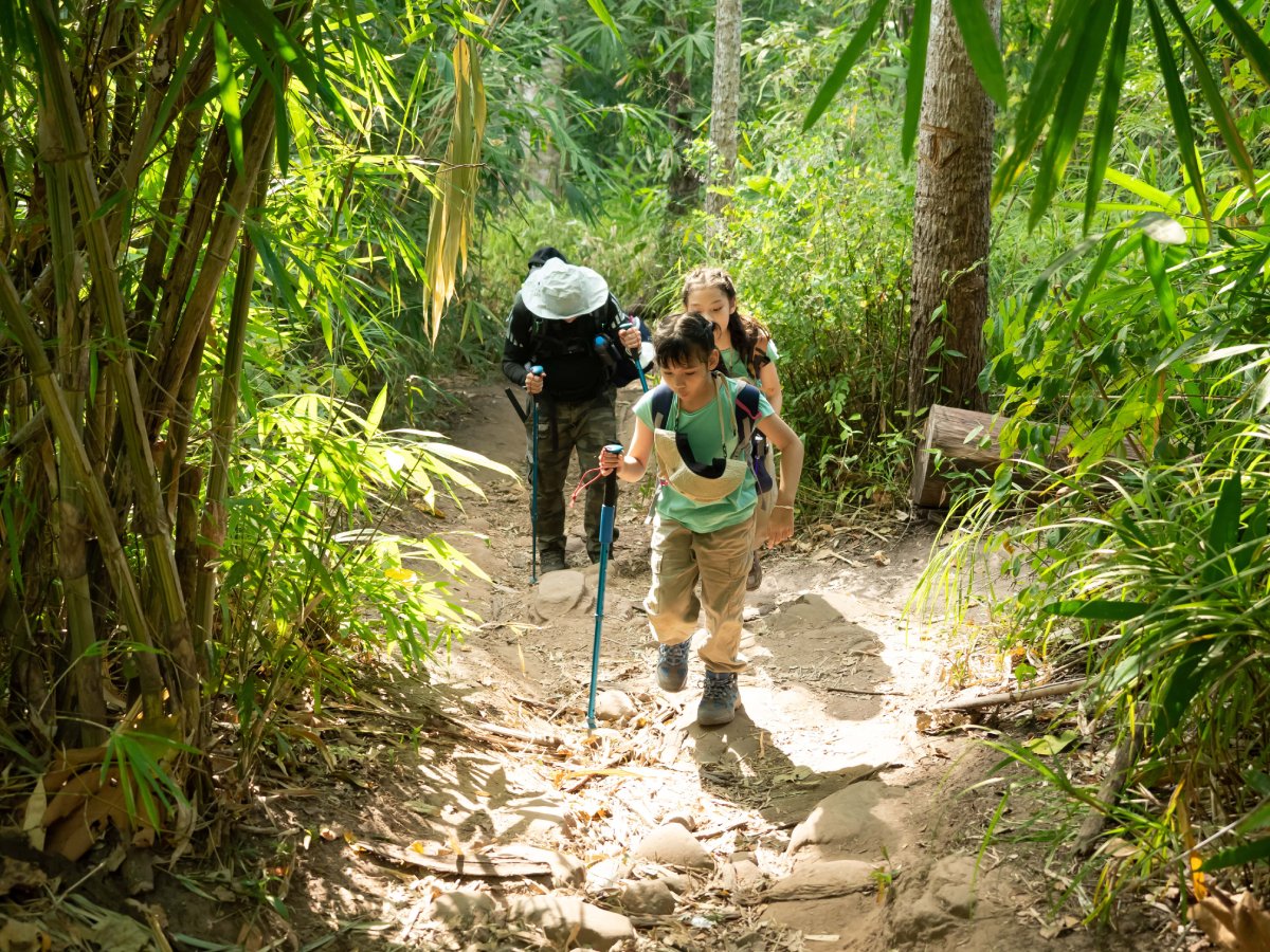 Taman Tugu Forest Trail